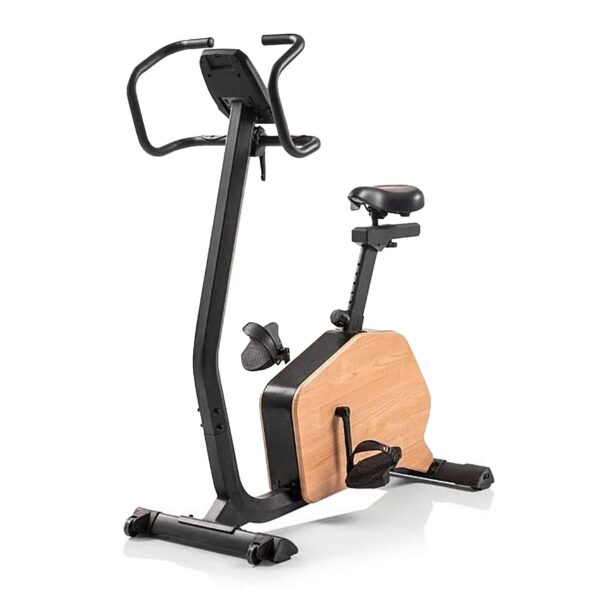 Hammer CardioPace 5.0 NorsK hometrainer ergometer